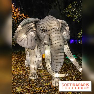 Odyssée Lumineuse, le festival des lumières au Parc Floral - IMG 2470