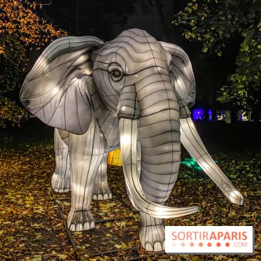 Odyssée Lumineuse, le festival des lumières au Parc Floral - IMG 2471