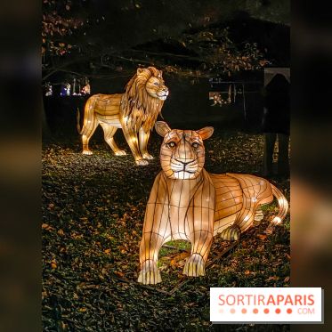 Odyssée Lumineuse, le festival des lumières au Parc Floral