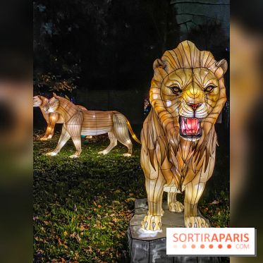 Odyssée Lumineuse, le festival des lumières au Parc Floral - IMG 2473