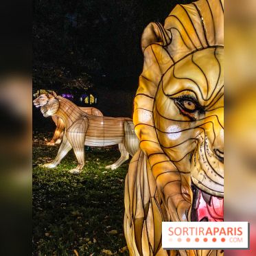 Odyssée Lumineuse, le festival des lumières au Parc Floral