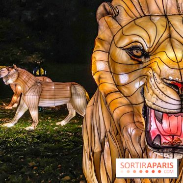 Odyssée Lumineuse, le festival des lumières au Parc Floral - IMG 2475