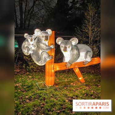 Odyssée Lumineuse, le festival des lumières au Parc Floral