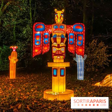 Odyssée Lumineuse, le festival des lumières au Parc Floral - IMG 2479