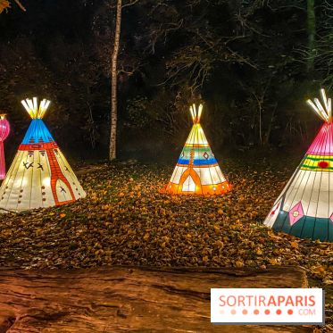 Odyssée Lumineuse, le festival des lumières au Parc Floral - IMG 2483
