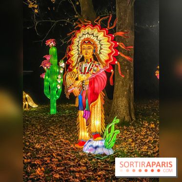 Odyssée Lumineuse, le festival des lumières au Parc Floral - IMG 2486