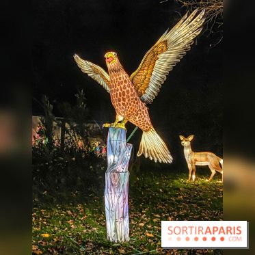 Odyssée Lumineuse, le festival des lumières au Parc Floral - IMG 2487