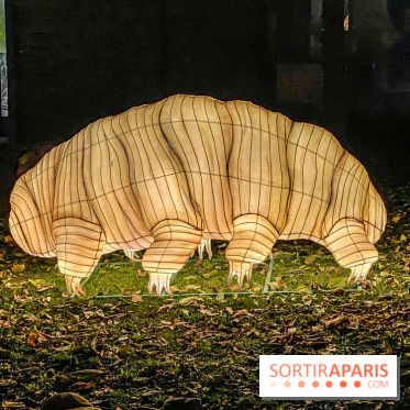 Odyssée Lumineuse, le festival des lumières au Parc Floral