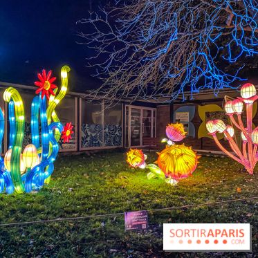 Odyssée Lumineuse, le festival des lumières au Parc Floral - IMG 2490