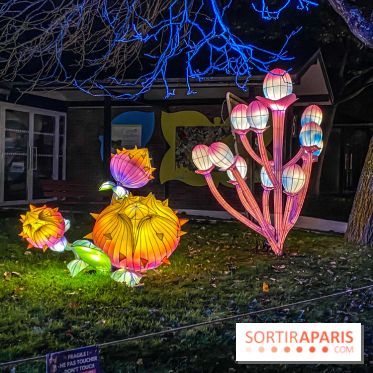 Odyssée Lumineuse, le festival des lumières au Parc Floral
