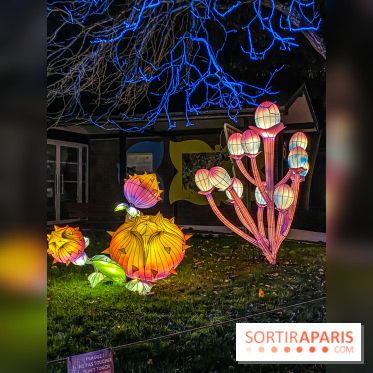 Odyssée Lumineuse, le festival des lumières au Parc Floral