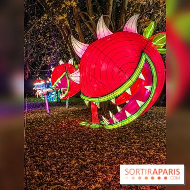 Odyssée Lumineuse, le festival des lumières au Parc Floral - IMG 2494