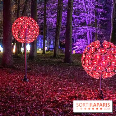Odyssée Lumineuse, le festival des lumières au Parc Floral
