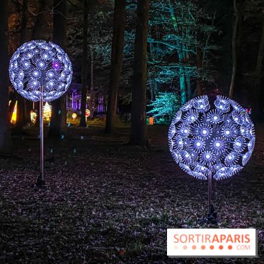 Odyssée Lumineuse, le festival des lumières au Parc Floral