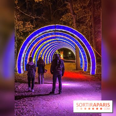 Odyssée Lumineuse, le festival des lumières au Parc Floral - IMG 2499