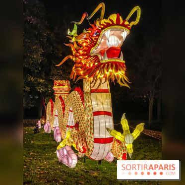 Odyssée Lumineuse, le festival des lumières au Parc Floral - IMG 2506