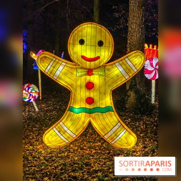 Odyssée Lumineuse, le festival des lumières au Parc Floral - IMG 2518