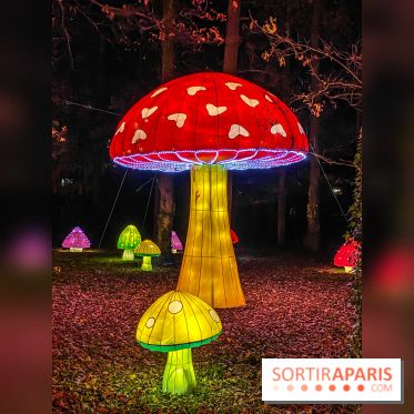 Odyssée Lumineuse, le festival des lumières au Parc Floral