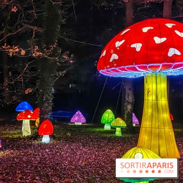 Odyssée Lumineuse, le festival des lumières au Parc Floral