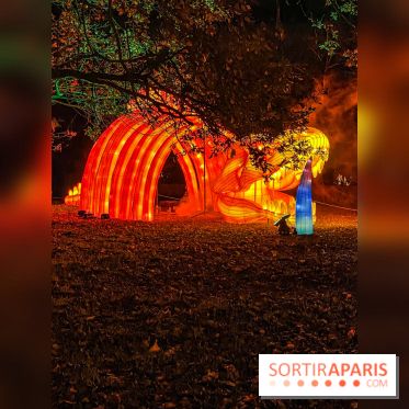Odyssée Lumineuse, le festival des lumières au Parc Floral - IMG 2522