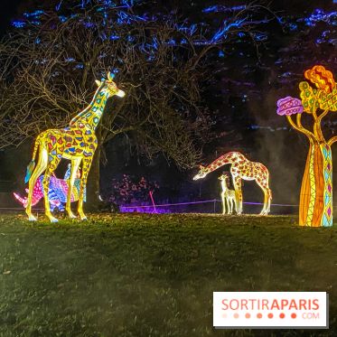 Odyssée Lumineuse, le festival des lumières au Parc Floral