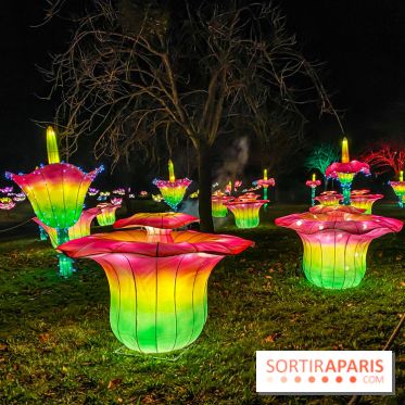Odyssée Lumineuse, le festival des lumières au Parc Floral