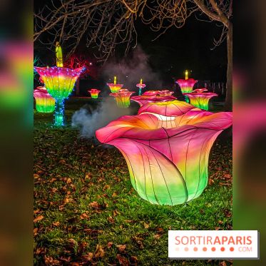 Odyssée Lumineuse, le festival des lumières au Parc Floral