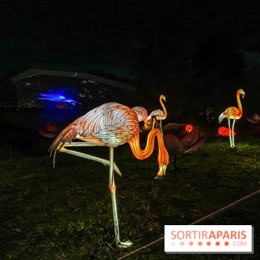 Odyssée Lumineuse, le festival des lumières au Parc Floral - IMG 2547