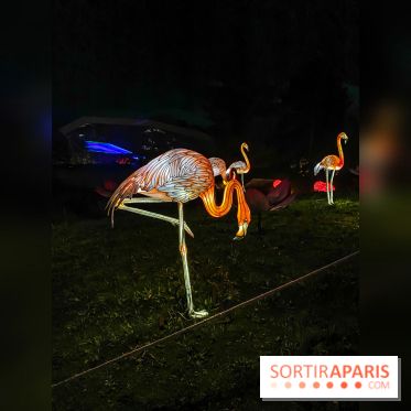 Odyssée Lumineuse, le festival des lumières au Parc Floral