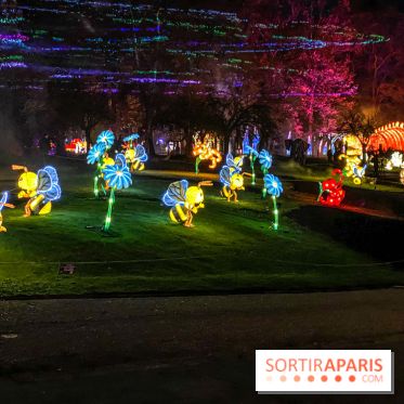 Odyssée Lumineuse, le festival des lumières au Parc Floral - IMG 2549
