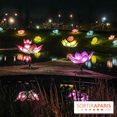 Odyssée Lumineuse, le festival des lumières au Parc Floral - IMG 2551
