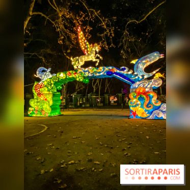 Odyssée Lumineuse, le festival des lumières au Parc Floral - IMG 2553