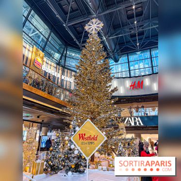 Le Sapin de Noël 2023 de La Défense