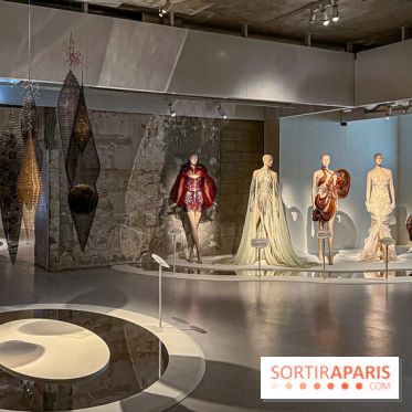 L’exposition retrospective de la créatrice de mode Iris Van Herpen au Musée des Arts Décoratifs - image00011