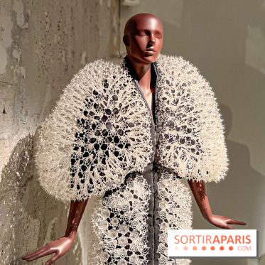 L’exposition retrospective de la créatrice de mode Iris Van Herpen au Musée des Arts Décoratifs - image00024