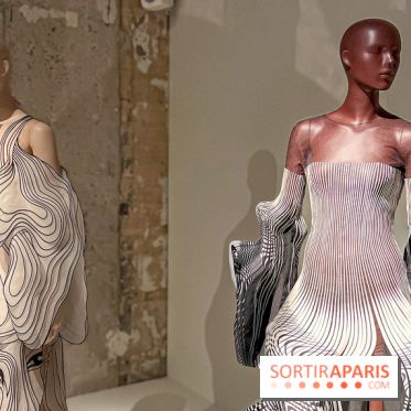 L’exposition retrospective de la créatrice de mode Iris Van Herpen au Musée des Arts Décoratifs - image00025