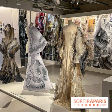L’exposition retrospective de la créatrice de mode Iris Van Herpen au Musée des Arts Décoratifs - image00036