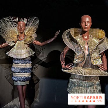 L’exposition retrospective de la créatrice de mode Iris Van Herpen au Musée des Arts Décoratifs - image00048