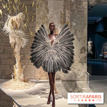 L’exposition retrospective de la créatrice de mode Iris Van Herpen au Musée des Arts Décoratifs - image00053
