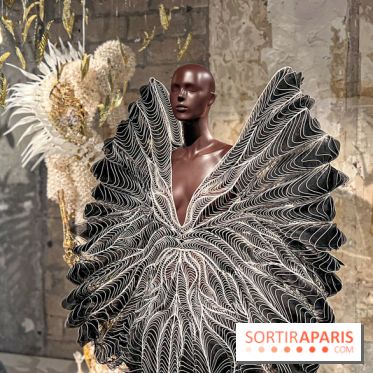 L’exposition retrospective de la créatrice de mode Iris Van Herpen au Musée des Arts Décoratifs - image00057