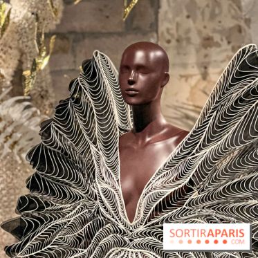L’exposition retrospective de la créatrice de mode Iris Van Herpen au Musée des Arts Décoratifs - image00059