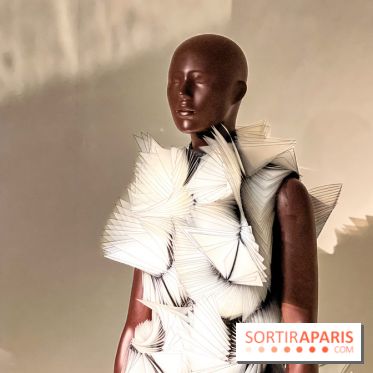 L’exposition retrospective de la créatrice de mode Iris Van Herpen au Musée des Arts Décoratifs - image00065