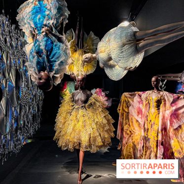 L’exposition retrospective de la créatrice de mode Iris Van Herpen au Musée des Arts Décoratifs - image00077