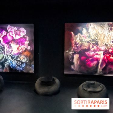 L’exposition retrospective de la créatrice de mode Iris Van Herpen au Musée des Arts Décoratifs - image00079