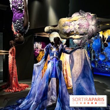 L’exposition retrospective de la créatrice de mode Iris Van Herpen au Musée des Arts Décoratifs - image00085