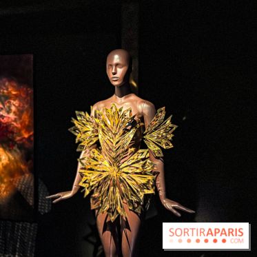 L’exposition retrospective de la créatrice de mode Iris Van Herpen au Musée des Arts Décoratifs - image00088