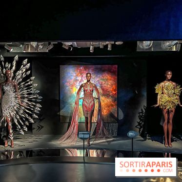 L’exposition retrospective de la créatrice de mode Iris Van Herpen au Musée des Arts Décoratifs - image00091