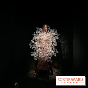 L’exposition retrospective de la créatrice de mode Iris Van Herpen au Musée des Arts Décoratifs - image00094