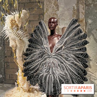 L’exposition retrospective de la créatrice de mode Iris Van Herpen au Musée des Arts Décoratifs - image00101