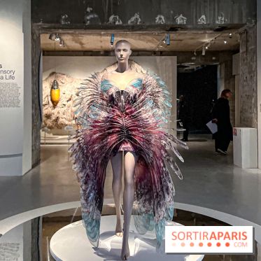 L’exposition retrospective de la créatrice de mode Iris Van Herpen au Musée des Arts Décoratifs - image00152